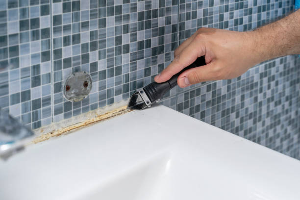 Best Mold Removal Specialists  in Fort Worth, TX