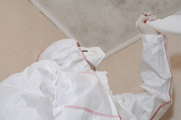 Best Mold Damage Repair  in Fort Worth, TX