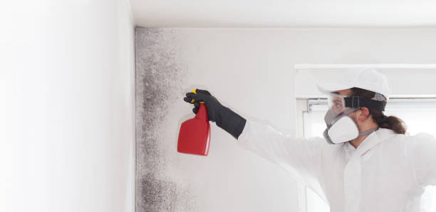 Best Home Mold Removal  in Fort Worth, TX
