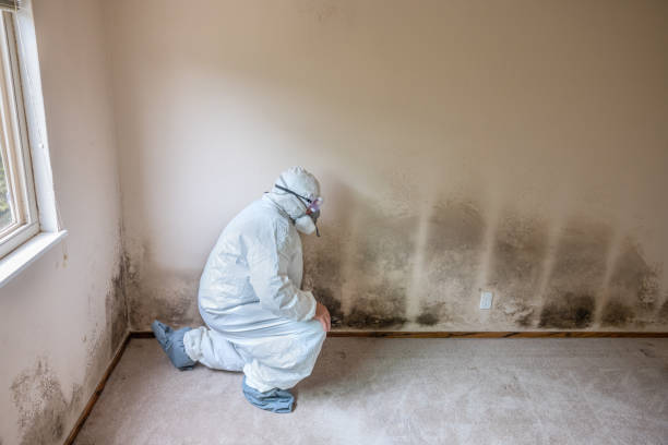 Best Emergency Mold Removal  in Fort Worth, TX